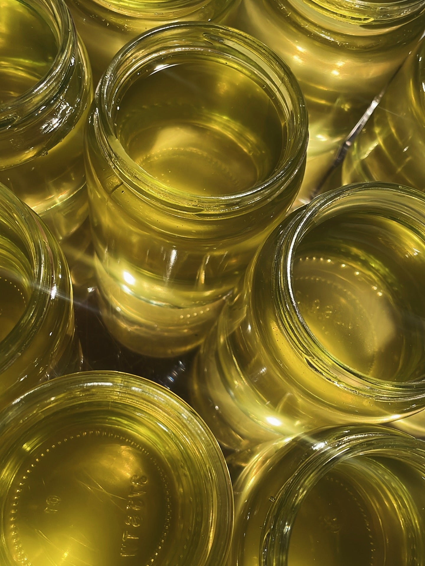 Premium Cooking Tallow - Sear, Simmer, Savor