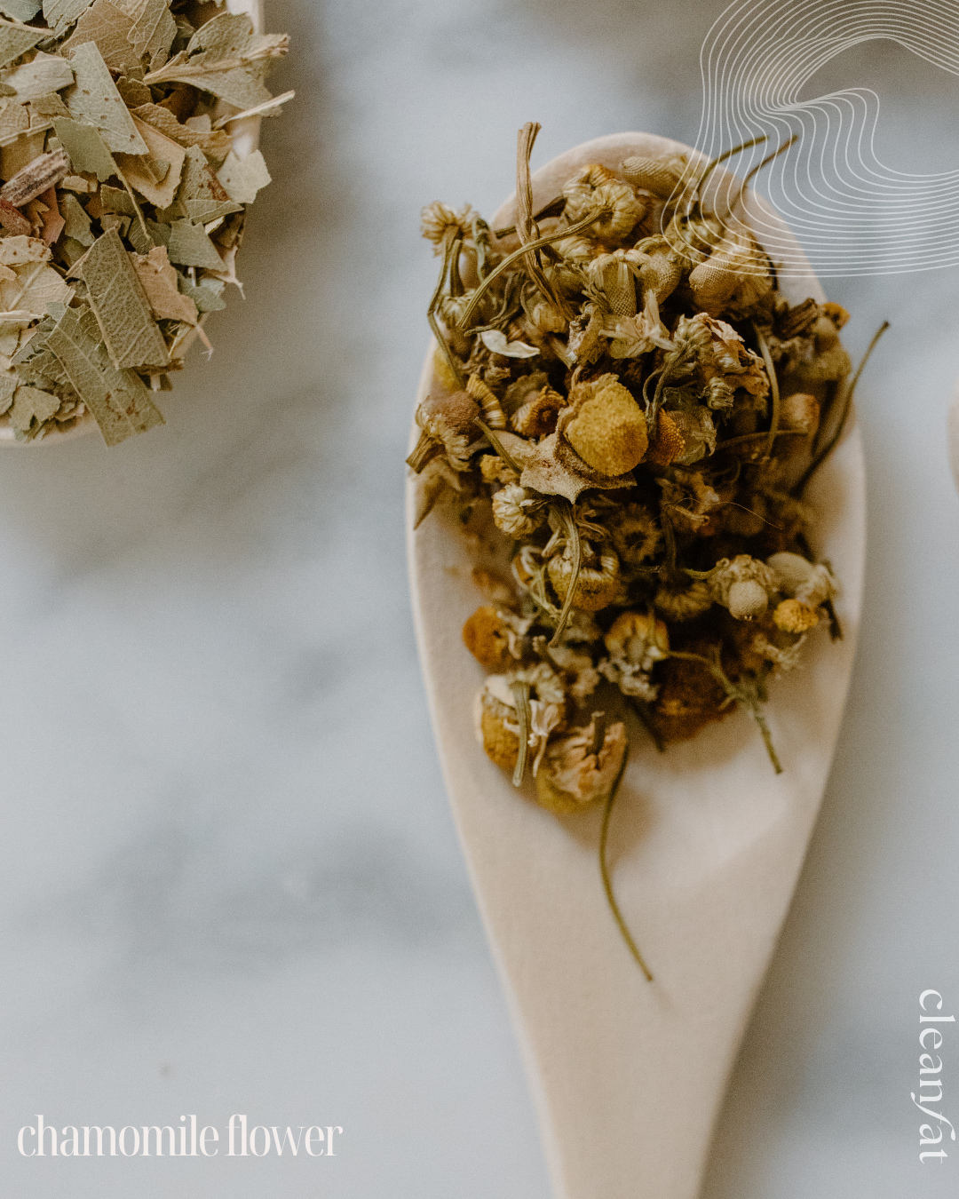 BotaniCalm - Herbal Healing Balm