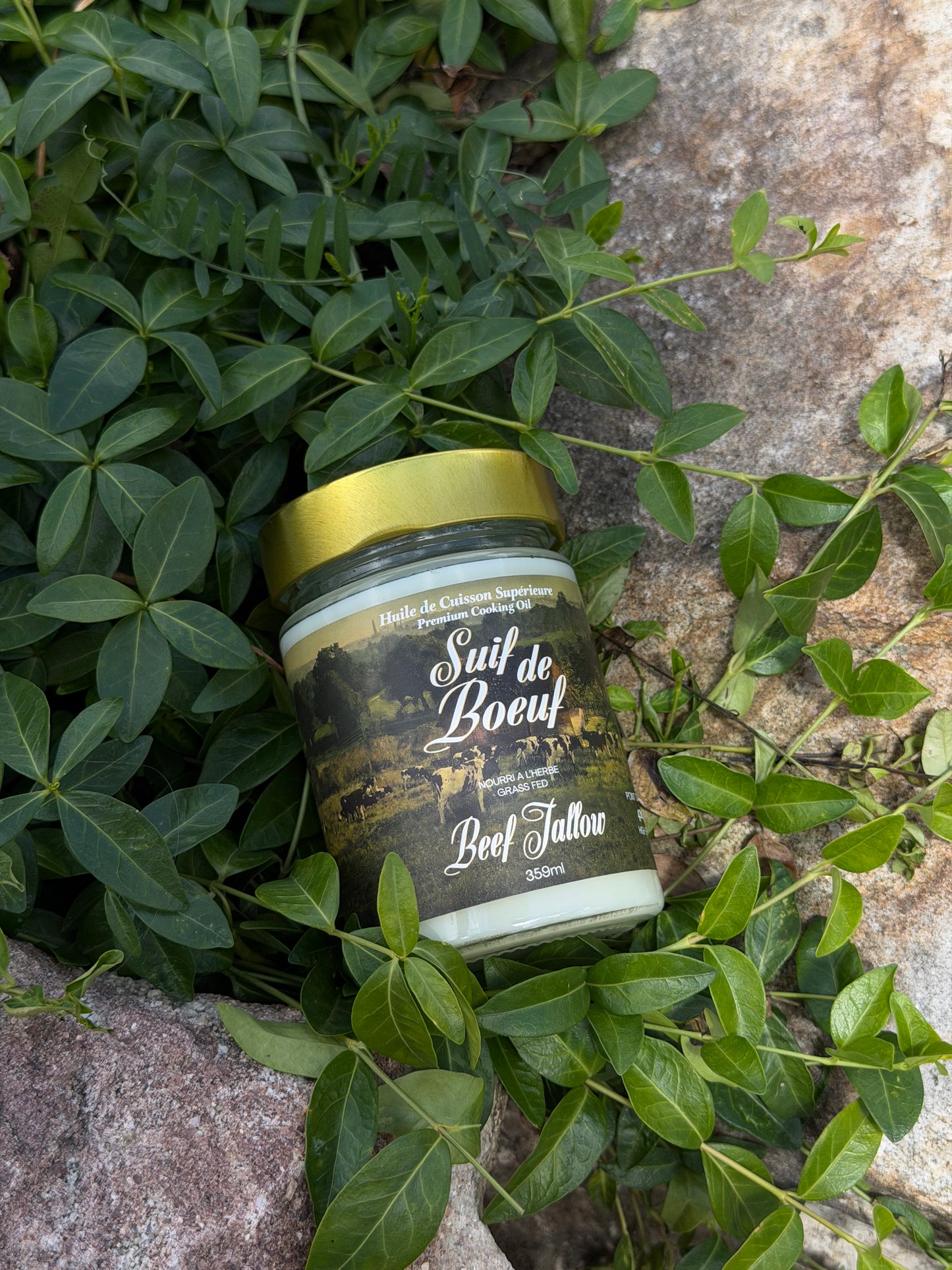 Premium Grass-Fed Cooking Tallow - Sear, Simmer, Savor